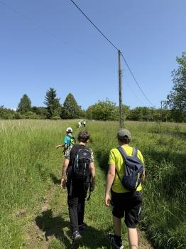 IMG_7393.jpeg
