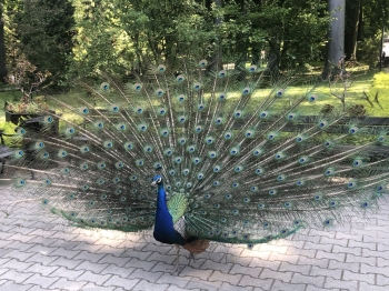 19.JPG