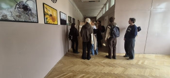 IMG_7075.jpeg